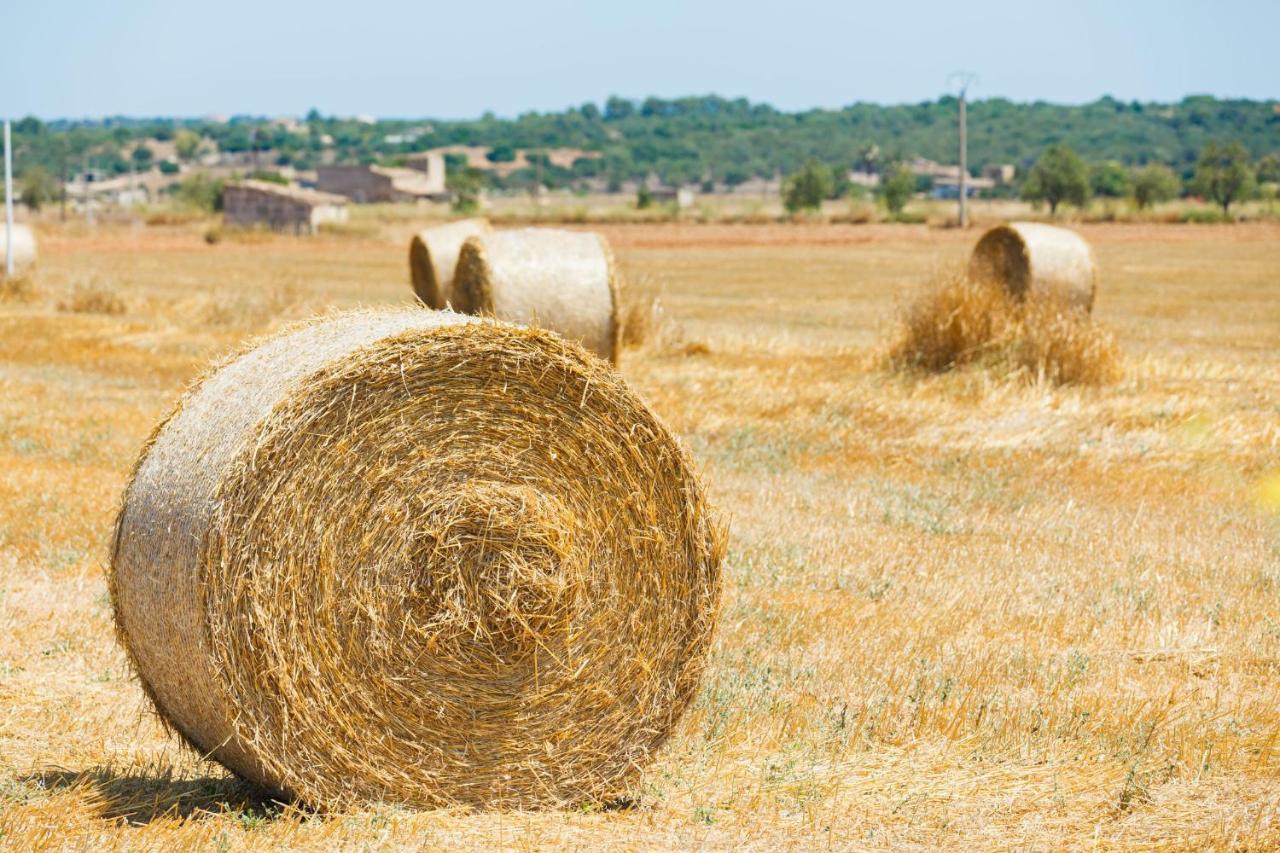 155 Finca Son Rossignol By Mallorca Charme Sineu  Bagian luar foto